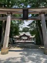 土佐神社の鳥居