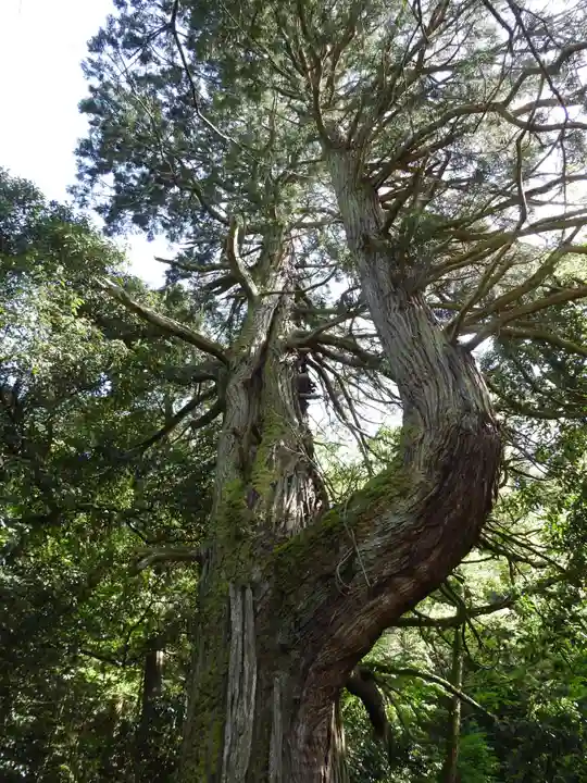 蓮華寺(滋賀県)