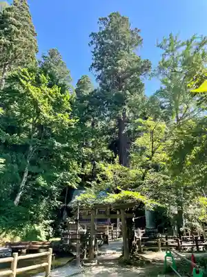 戸ノ口堰水神社(福島県)