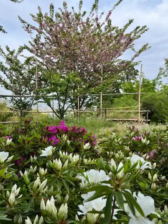 石清水八幡宮(京都府)