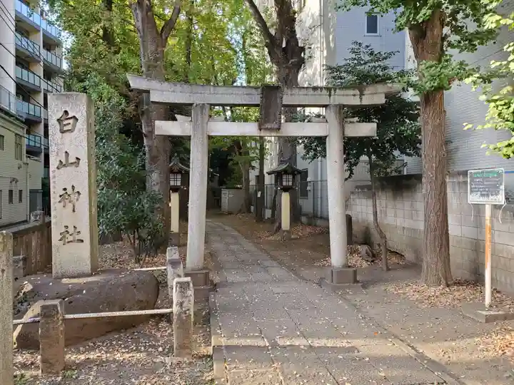 荻窪白山神社の鳥居