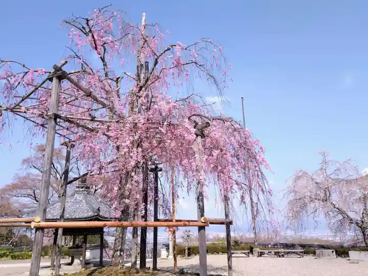 善峯寺(京都府)