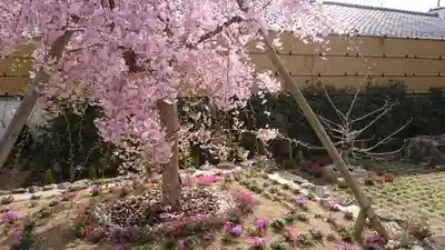 寿量山 速成寺のその他建物