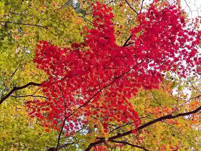 高野山金剛峯寺(和歌山県)