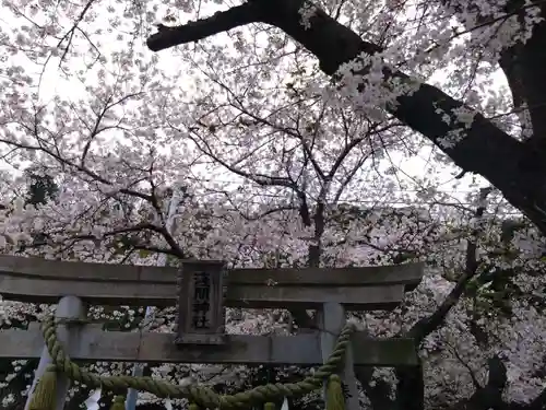 津久井浅間神社(神奈川県)