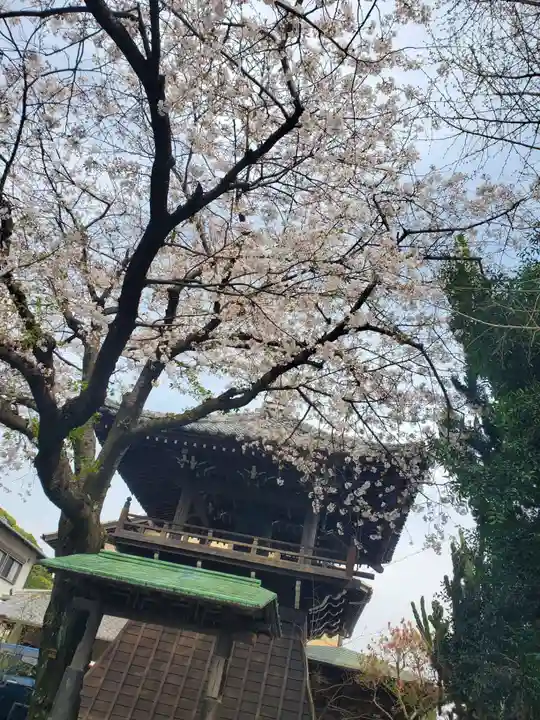 東漸寺(静岡県)