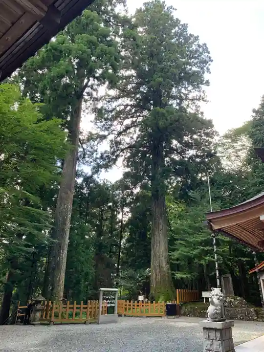 須山浅間神社のその他建物
