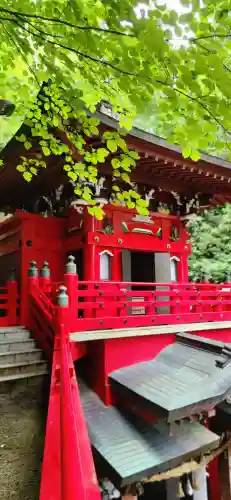 大正寺(中野不動尊)の本殿