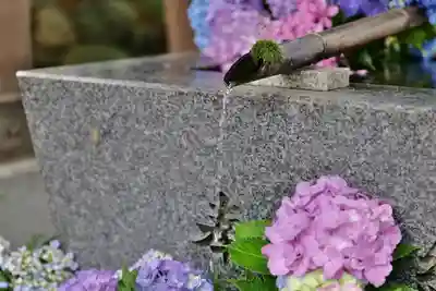 高司神社〜むすびの神の鎮まる社〜の手水舎