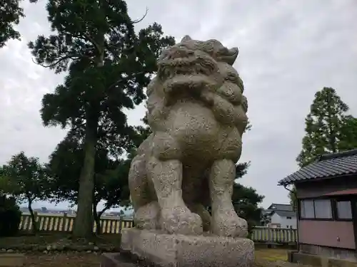 西荒川神社の狛犬