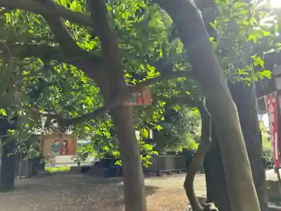 天照神社(千葉県)