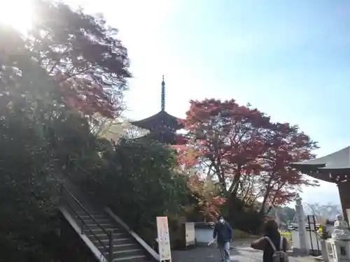 岡寺（龍蓋寺）(奈良県)