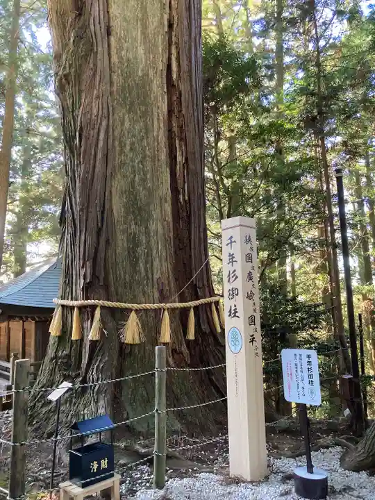 鷲子山上神社(栃木県)