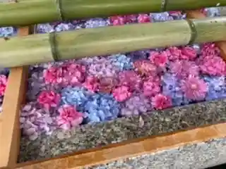 白山神社の手水舎
