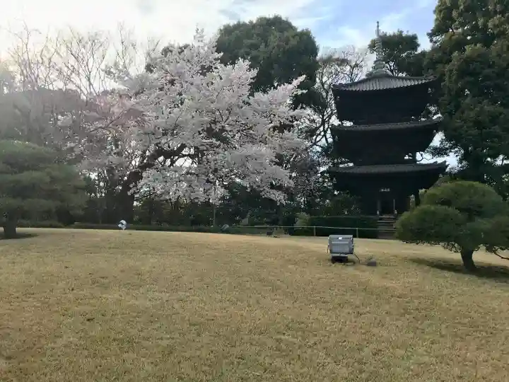 圓通閣のその他建物