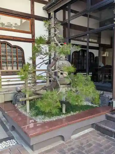 妙清寺(東京都)