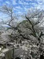 千光寺(広島県)