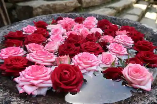 丹生都比売神社(和歌山県)