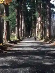 戸隠神社奥社の自然