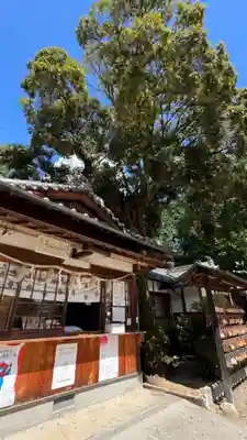 住吉神社(大阪府)