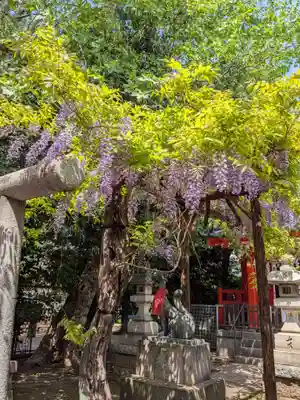 藤神稲荷神社(東京都)