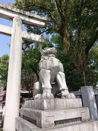 秩父神社の狛犬