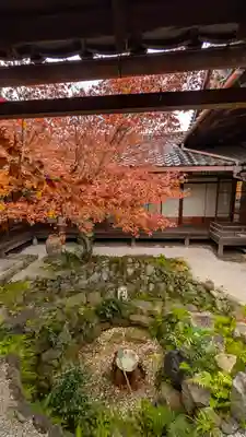 興聖寺(京都府)