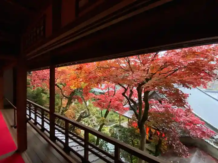 柳谷観音 楊谷寺の本殿・本堂