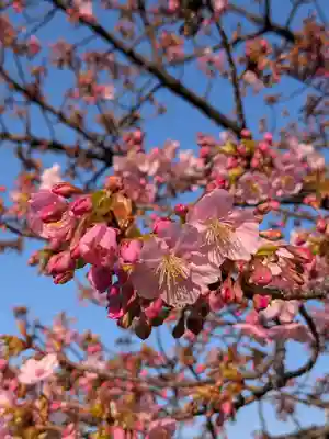 繁榮稲荷神社(東京都)