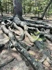 石清水神社の自然