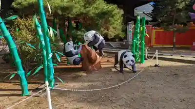 萬福寺(京都府)