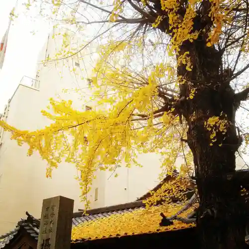 日本橋日枝神社のその他建物