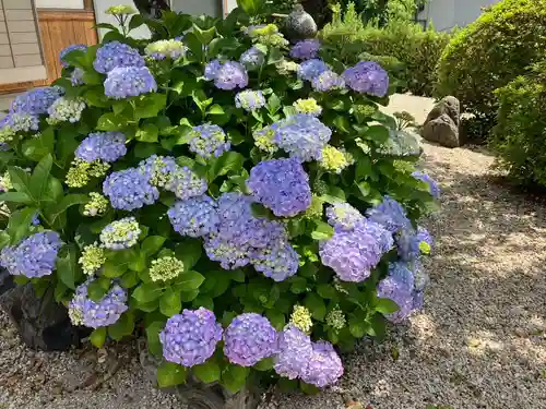 美奈宜神社(福岡県)
