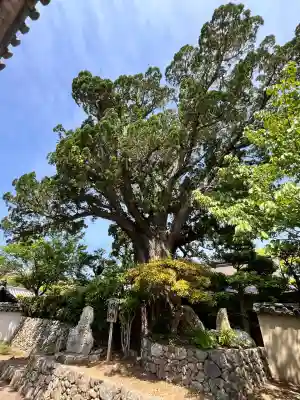 道成寺(和歌山県)