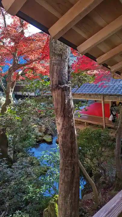 柳谷観音 楊谷寺(京都府)