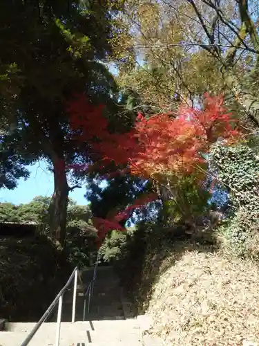 宝樹院小山寺の自然