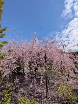 福蔵院(東京都)