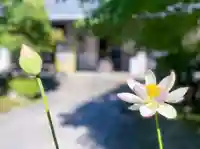 伊勢の国 四天王寺の自然