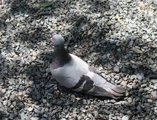 頂法寺（六角堂）(京都府)