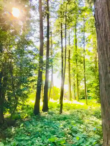 楯縫神社の自然