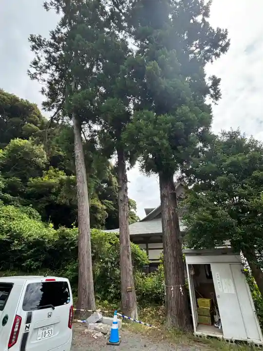 舘山寺(静岡県)