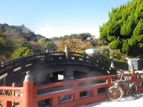 鶴岡八幡宮の庭園