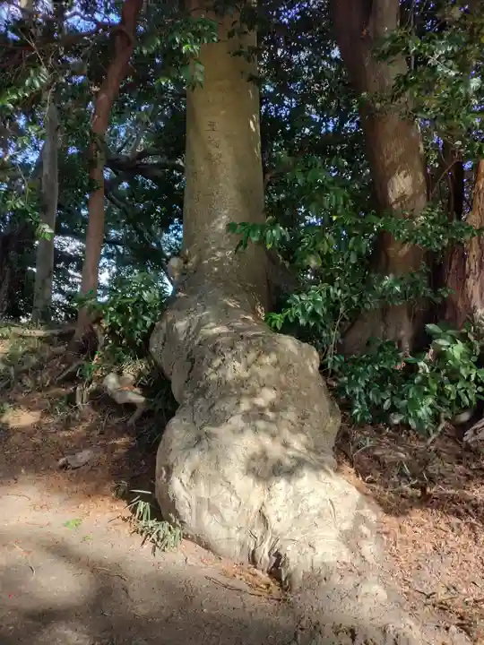 敏太神社(三重県)