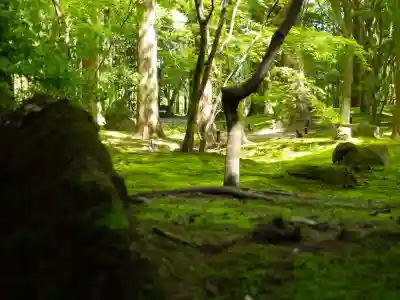 円通院の{uncategorized: "未分類", other: "その他", undefined: "問題あり", building: "その他建物", grave: "お墓", sacred_gate: "鳥居", guardian: "狛犬", statue: "像", buddha: "仏像", history: "歴史", nature: "自然", garden: "庭園", animal: "動物", pagoda: "塔", temizu: "手水舎", mountain_gate: "山門・神門", sanctuary: "本殿・本堂", subordinate: "末社・摂社", art: "芸術", scenery: "景色", jizo: "地蔵", ema: "絵馬", goshuin: "御朱印", omikuji: "おみくじ", items: "授与品その他", amulet: "お守り", goshuincho: "御朱印帳", eats: "食事", festival: "お祭り", votive_dance: "神楽", shichigosan: "七五三参", wedding: "結婚式", experience: "体験その他", initially: "初詣", around: "周辺", anti_infection: "感染症対策"}