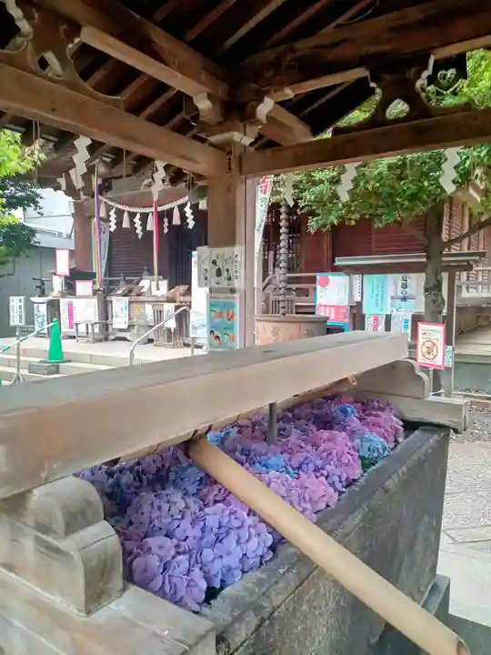 鳩森八幡神社の手水舎
