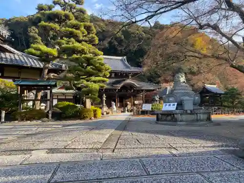 三室戸寺(京都府)