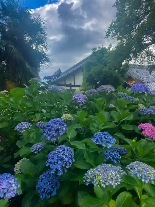 性海寺(愛知県)