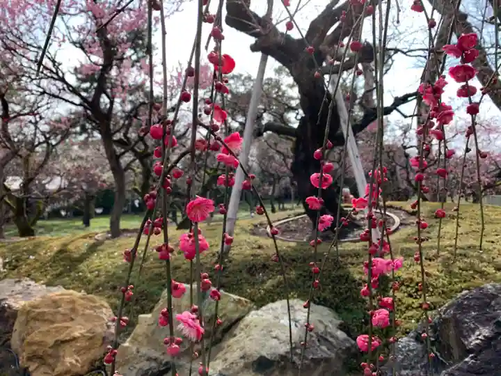 北野天満宮の庭園