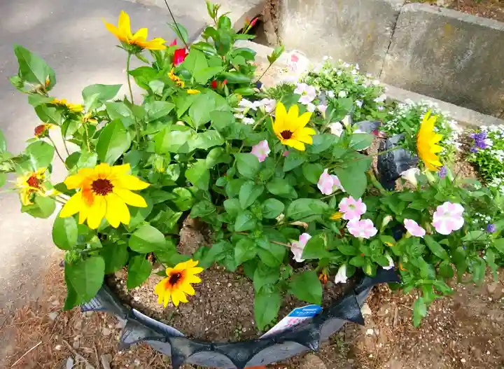 倶知安神社の自然