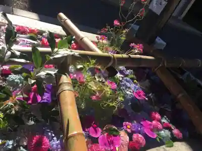 住吉神社の手水舎